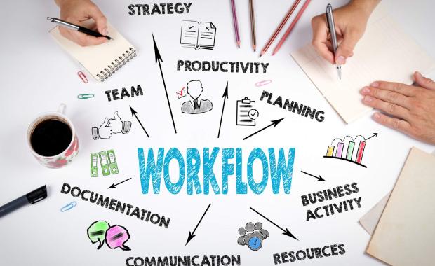 The First Pillar: Why Clear Document Protocols Are Non-Negotiable